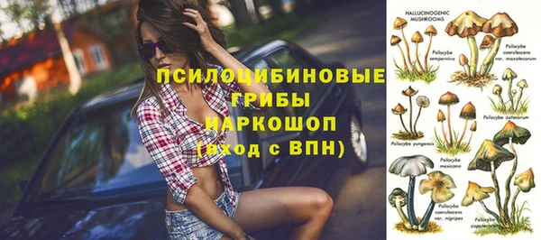 mdpv Арсеньев