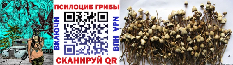 купить наркотик Ковылкино ссылка на мегу сайт shop формула Галлюциногенные грибы прущие грибы